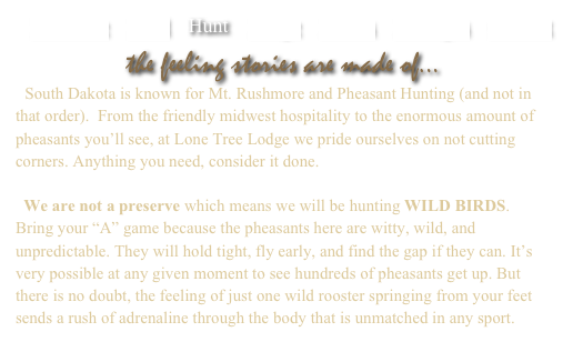    Welcome    Land    Hunt    Lodge    Photos    Packages    Contact

the feeling stories are made of...
  South Dakota is known for Mt. Rushmore and Pheasant Hunting (and not in that order).  From the friendly midwest hospitality to the enormous amount of pheasants you’ll see, at Lone Tree Lodge we pride ourselves on not cutting corners. Anything you need, consider it done.

  We are not a preserve which means we will be hunting wild birds.   Bring your “A” game because the pheasants here are witty, wild, and unpredictable. They will hold tight, fly early, and find the gap if they can. It’s very possible at any given moment to see hundreds of pheasants get up. But there is no doubt, the feeling of just one wild rooster springing from your feet sends a rush of adrenaline through the body that is unmatched in any sport.