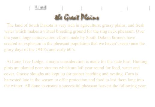    Welcome    Land    Hunt    Lodge    Photos    Packages    Contact

the Great Plains
  The land of South Dakota is very rich in agriculture, grassy plains, and fresh water which makes a virtual breeding ground for the ring neck pheasant. Over the years, huge conservation efforts made by South Dakota farmers have created an explosion in the pheasant population that we haven’t seen since the glory days of the 1940’s and early 60’s. 

  At Lone Tree Lodge, a major consideration is made for the state bird. Hunting plots are planted near streams which are left year round for food, water and cover. Grassy sloughs are kept up for proper hatching and nesting. Corn is harvested late in the season to offer protection and food to last them long into the winter. All done to ensure a successful pheasant harvest the following year.

