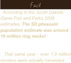 Fact
  According to the South Dakota Game Fish and Parks 2008 estimates; The SD pheasant population estimate was around 10 million ring necks! 


  That same year - over 1.9 million roosters were actually harvested.